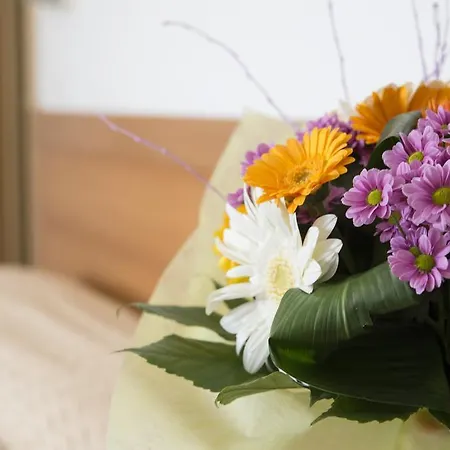 Ristorante Edo Hotel Forlimpopoli